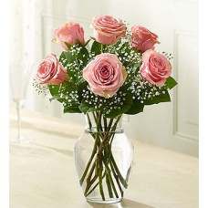 Loves Embrace Rosas - Rosa