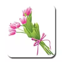 Navidad Flores