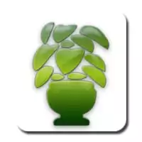 Navidad Plantas