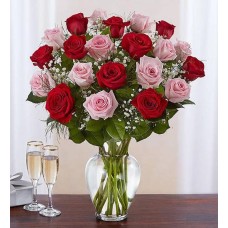 Máxima elegancia: Rosas largas de 48 tallos en tonos rosa y rojo.