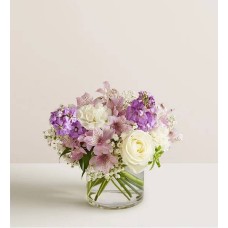 Preciosa mezcla de lavanda™ (pequeña)