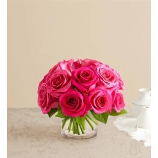 Rosas de color rosa fucsia contemporáneas (pequeñas)