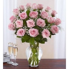 Rosas rosadas de lujo de 48 tallos
