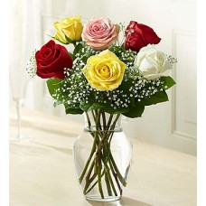 Loves Embrace Rosas - Surtido