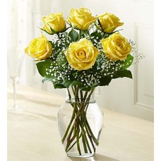 Le encanta abrazar las rosas amarillas