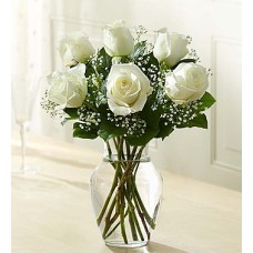 Le encanta Abrazo blanco de las rosas