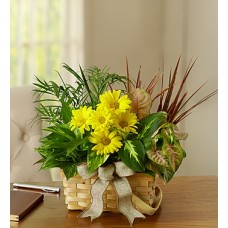 Plato Jardín con Flores Frescas (Pequeño)