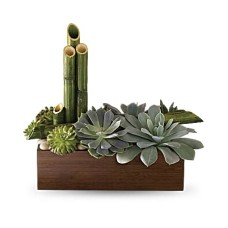 Jardín zen de paz