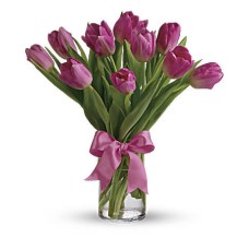 Preciosos tulipanes rosas (estándar)