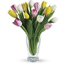 Tesoro de tulipanes Giftblooms (Estándar)