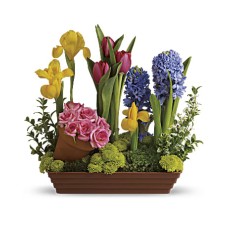 Favoritos de primavera (Estándar)