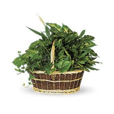 Gran cesta de jardín
