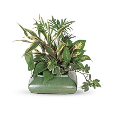 Plato de jardín pequeño