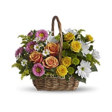 Cesta Dulce Tranquilidad (Estándar)