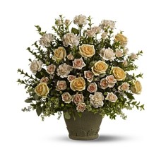 Recuerdo de la Rosa