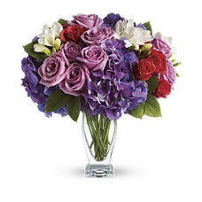 Rapsodia en púrpura de Giftblooms (Estándar)