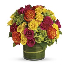 Flores en boga (Estándar)