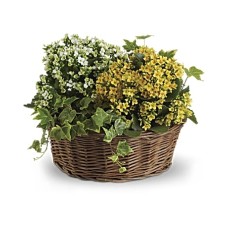 Cesta de la alegría