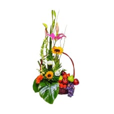 Frutales y Girasoles