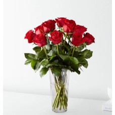 Ramo de rosas rojas de tallo largo (Estándar - 12 rosas)