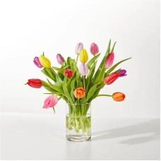 Ramo de tulipanes "Llamada de primavera" (15 tulipanes)