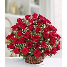 Serenata de rosas