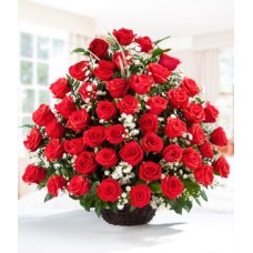 Serenata de Rosas