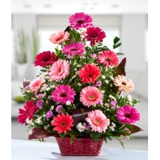 Arreglo de Gerberas