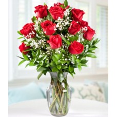Docena de rosas rojas