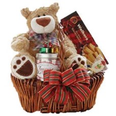 Teddy Cookies (medio)