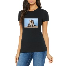 Camiseta BELLA+CANVAS Junior's Picture-Perfect