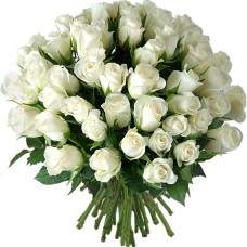 ROSAS BLANCAS (Pequeñas)
