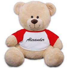 Osito de peluche personalizado con cualquier nombre - 17 "