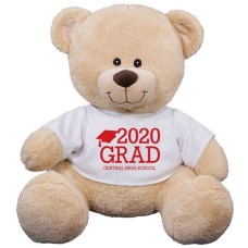 Oso de peluche graduado (oso de peluche de 28 cm)
