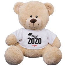 Oso de peluche de la promoción de graduación (oso de peluche de 28 cm)