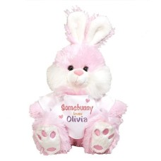 Personalized Somebunny Loves Me Pink Bunny - 10