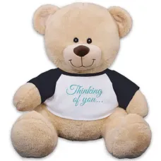 Thinking of You Teddy Bear - 17 Inch (11 inch teddy)