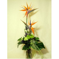 Welcome parrot with flowers (Medium)