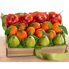Colección de frutas del trío de California
