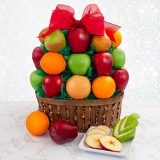 Cesta de regalo de fruta elegante