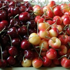 Cherry Medley