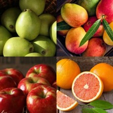 Winter Mixed Fruit Medley Gift Box (Small)