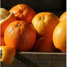 Naranjas Navel de Malibú