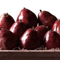 Columbia Red Pears (Classic)