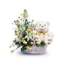 Bienvenido Bebé (Unisex Colorsus)