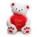 Oso de peluche