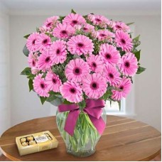 Softness Of Gerbera Daisies (24 Gerberas Daisies + Chocolates Box)