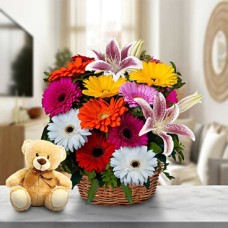 Amor alegre (6 gerberas + 1 lirio + oso de peluche)