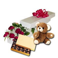 Día precioso (24 rosas + osito de peluche24)