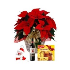 Poinsettia, vino y panettone